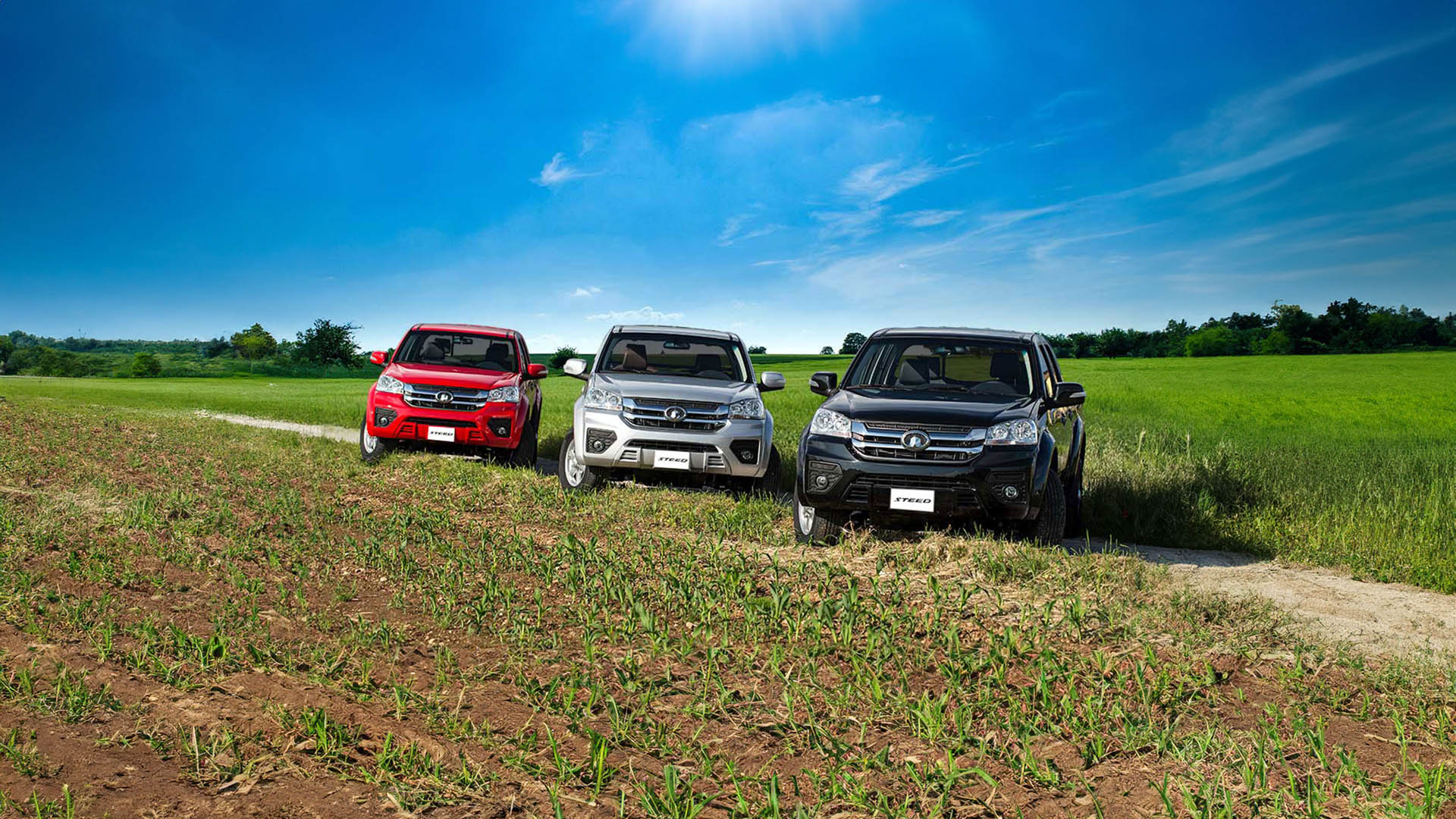 Interna-Great-Wall-Perinetti-Auto